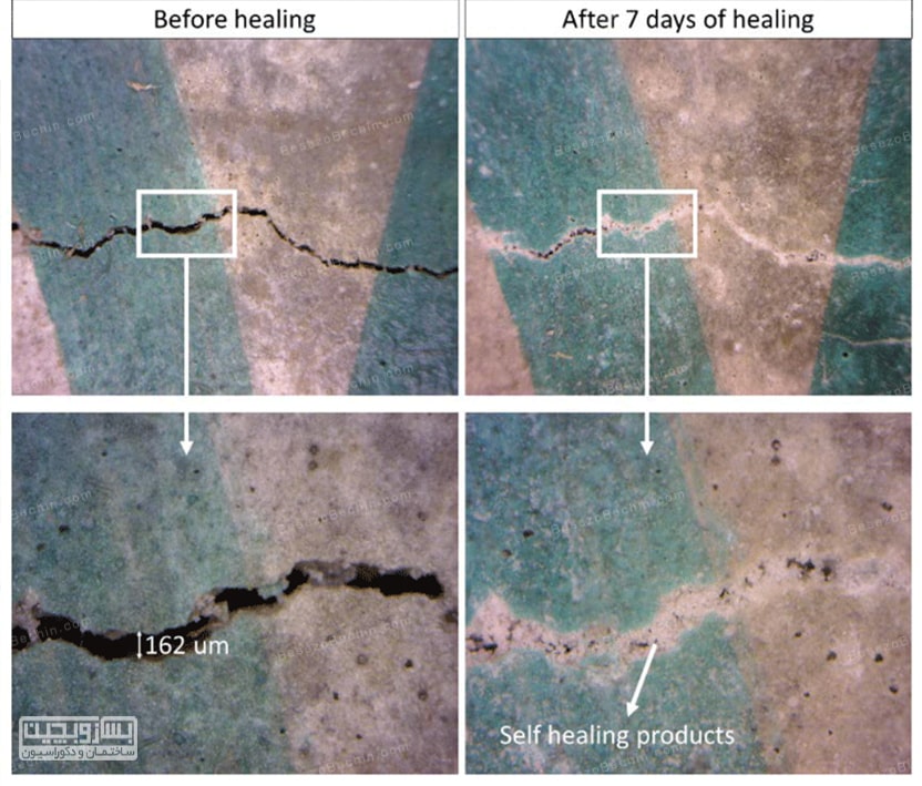 بتن خود ترمیم شونده